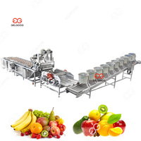 Gelgoog Automatische 500Kg/Uur Slimme Fruitwasmachine Met Luchtdroger Lage Prijs Fruitwasmachine