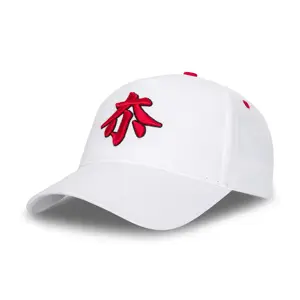 Оптовая продажа, Китай, высокое качество, индивидуальный дизайн, мужская и женская простая китайская Кепка, бейсболка с 3D вышивкой логотипа, шапки
