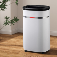 Nouveautés Tendance Portable 25L/Jour Déshumidificateur d'air domestique Petit déshumidificateur déshydratant thermoélectrique