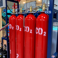 Système d'extinction d'incendie fixe de CO2 (dioxyde de carbone) approuvé par la CCS Classification Society