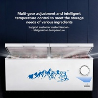 Congélateur vertical commercial à double porte, ultra-grande capacité, idéal pour supermarchés et usage domestique, pour la conservation de la viande et du poisson