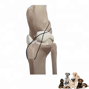 Veterinair orthopedisch instrument voor honden, cruciaal ligament, kunstmatige ligamentimplantaten voor dieren - Product Image 2