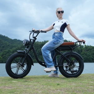Vélo électrique à pneus larges de 20 pouces, moteur 1000W, batterie au lithium 48V15Ah, tout-terrain, hors <span class=keywords><strong>route</strong></span>, pour le Brésil et l'Australie - Product Image 1