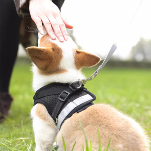 Arnés estilo chaleco para perros, ajustable para perros pequeños, equipo rojo para pasear mascotas - Product Image 3