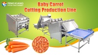 Automatische Snijmachine Voor De Productie Van Plantaardige Fruitbaby-Wortel