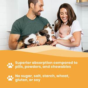 OEM/ODM kıdemli kedi eklem takviyesi-artrit desteği ve hareketliliği için organik sıvı glukozamin MSM ve kondroitin damlaları - Product Image 6