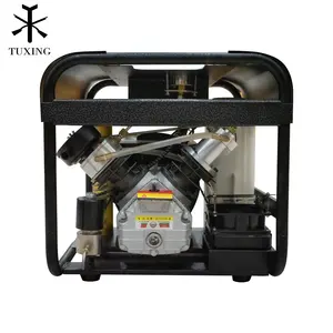 TUXING Portable Double-cylinder 4500psi 30mpa 300bar Automatic Stop Built-in Filter Auto Purge Valve Electric PCP Air Compressor