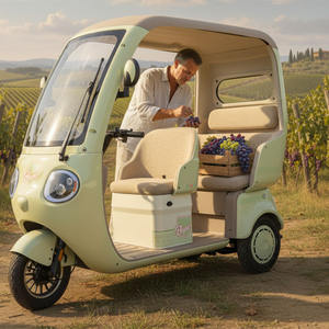 HLD มอเตอร์คลื่นสี่เหลี่ยม600W รถสามล้อไฟฟ้าสามที่นั่งพร้อมเบาะนั่งโฟมสำหรับสกู๊ตเตอร์ไฟฟ้าในเมือง - Product Image 3