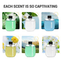 Mini Diffuseur de Parfum Maison, Diffuseur d'Arômes, Diffuseur d'Huiles Essentielles Sans Eau, Nébuliseur Portable