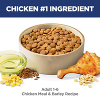 Probiotiques et enzymes digestives pour chiens OEM/ODM pour la santé intestinale 500g Durée de conservation de 2 ans