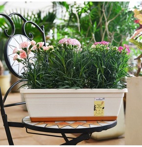 Factory Directly Sales Plastic <strong>Rectangle</strong> Planters for Indoor/Outdoor <strong>Plants</strong> High Quality Flower <strong>Pots</strong> Lightweight Garden <strong>Pots</strong> - Product Image 6