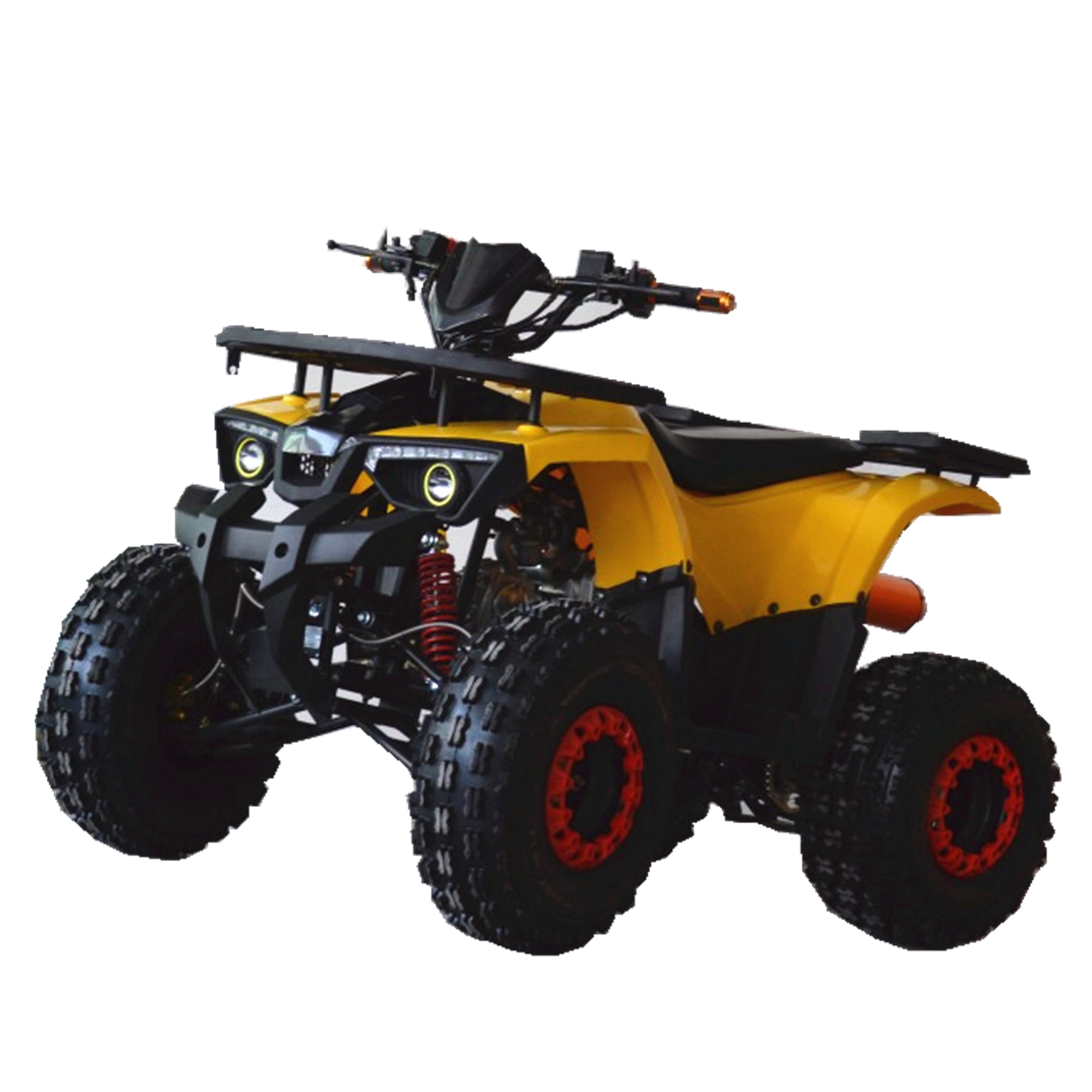 Factory directly sale 110cc ATV for kids and adults Outdoor racing ATV for boys and girls atv 250cc 4x4
