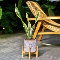 Pot sukulen kaktus dekoratif taman Nordic Pot bunga keramik elegan dekorasi rumah Modern dengan dudukan kayu
