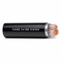 Kabel Daya Berlapis Baja Tembaga 3 Inti YJV22 0.6/1kV 3*185mm2 3*240mm2 3*300mm2 Harga Grosir Langsung Pabrik 3*300mm2