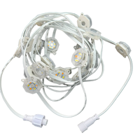 20 Pixels DC24V WS2805 RGBIC + CCT 5 Couleurs 30mm Hexagone Adressable LED Permanent Extérieur Maison Avant-toit Lumières 3Pin Blanc Fil IP68