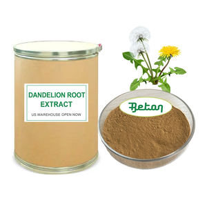 チャイニーズハーブオーガニックエタノール成分4:1タンポポ根の葉花フラボンエキスパウダーフラボロイド - Product Image 1