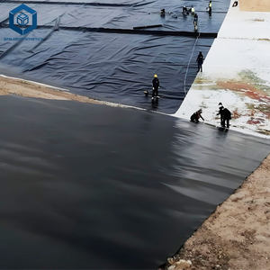 แผ่นซับบ่อ<span class=keywords><strong>ปลา</strong></span> HDPE Geomembranes จากประเทศจีน - Product Image 2