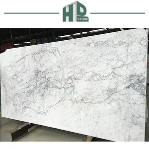 Đá cẩm thạch trắng Tường gạch Carrara Trắng phiến đá cẩm thạch cho sàn và tường trang trí