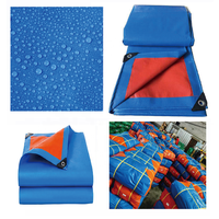 Bâche en PE tissé robuste, imperméable, pour couverture de sol extérieure, bâche polyvalente pour applications de construction et d'abri