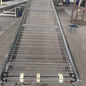 Kettingnet Transportband Van Fruit En Plantaardige Voedsel Reinigingsmachine Kleine Roestvrijstalen Metalen Net Band Transportband - Product Image 2