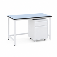 Mesa de Laboratorio con Fregadero, Salida de Gas y Lavaojos, Muebles Modulares de Acero, Tamaño Personalizado para Laboratorio de Química Escolar