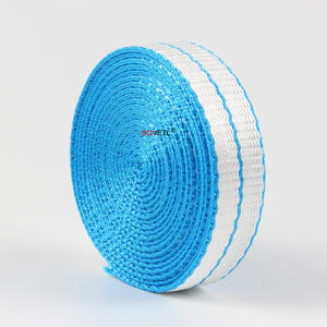 헤비 듀티 UHMWPE 스트랩 짠 산업용 리프팅 슬링 전기 트랙션 UHMWPE 웨빙 고강도 인장 UHMWPE 스트랩 - Product Image 1