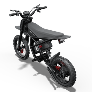 Ridingtimes GT54PRO Dirt Bike Adults Long-Range E-Bike Integrated 3000W 60V Lithium Battery Central Motor 40 MPH 100KG LED - Product Image 3