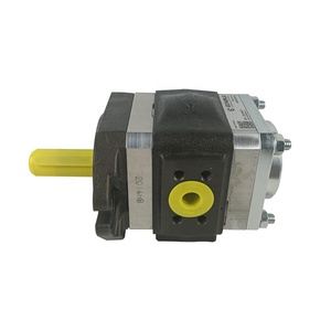 Pompe hydraulique à engrenages ECKERLE EIPH2-013RK03-11 EIPH2-004/005/006/008/011RK utilisée pour les plieuses et les presses hydrauliques - Product Image 4