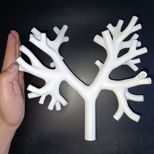 Kyrenmed <span class=keywords><strong>3D</strong></span> xơ phế quản mô hình với khay Kích thước cuộc sống nhựa cấp bốn bronchus <span class=keywords><strong>Simulator</strong></span> cho bronchoscopy đào tạo mô hình - Product Image 3