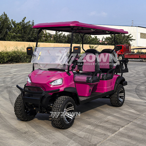 Carrito de Golf Eléctrico de Alta Calidad de 48V y 2 Plazas con Certificación CE, Alcance de 90 km para Campos de Golf y Clubes Campestres - Product Image 1