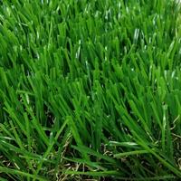 Meisen Niedriger Preis Kunstrasen 30mm 40mm für Garden Park Green Landscape Bunter natürlich aussehender Gras teppich 2m 4m Rollen teppich