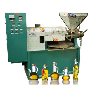 Machine commerciale de presse d'huile de l'acier inoxydable 6yl-60High Output à vendre