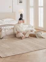 Hot Sale New Rug Water Proof and Anti Stain Pale Brown Beige Carpet