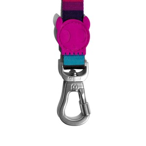 Laisse Prisma colorée à rayures avec clip tortue rose pour animaux de compagnie - Product Image 4