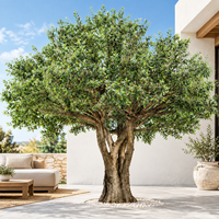 Arbre d'olivier artificiel réaliste pour les designers d'intérieur |   Végétation personnalisée de grande taille pour maisons de luxe, hôtels et espaces commerciaux