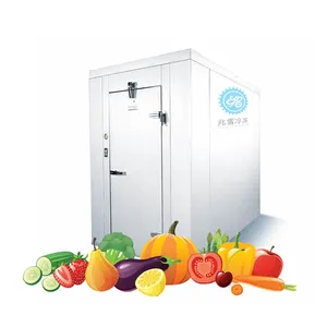 Cold Room Walking Box Refrigerator Restore The Freezer Cool Room For Fruits And Vegetables