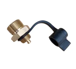 Laofusi brass thread test connection 6237776 gas cylinder intake valve