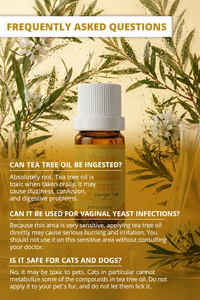Factory Supply Bulk Frankincense Essential <b>Oil</b> Boswellia carterii Steam Distilled for Aromatherapy Cosmetics Skincare <b>Diffuser</b> - Product Image 5