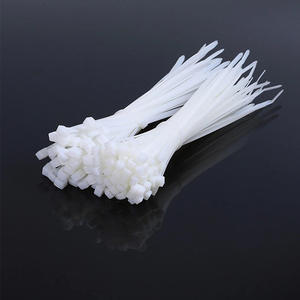 Самоблокирующийся нейлоновый пластик, 2,5*100 мм, УФ-стойкие, экологически чистые, прочные ремни, Прямая продажа с завода - Product Image 2