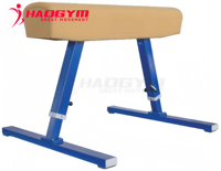 Barres parallèles de gymnastique HAOGYM, barres parallèles scolaires, haute qualité