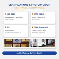 Moule d'injection plastique de haute précision certifié ISO, services de moulage sur mesure pour les entreprises Fortune Global 500