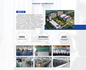 Cao-Tần số điện áp chuyển mạch cung cấp điện cao hiện tại phẳng dây đồng cuộn dây điện tùy chỉnh bầu 40m max DC 4.0kv - Product Image 5