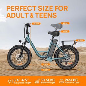 Vélo de ville électrique à pneus larges de 20 pouces, <span class=keywords><strong>moteur</strong></span> arrière, 48V 13Ah 250W, 7 vitesses, écran LCD, service OEM ODM, expédié de Chine - Product Image 3