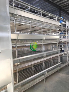New Essential <strong>Used</strong> 90-200 Chicken One Set Poultry H-Type Galvanized Steel Layer Laying Hens Battery Automatic 4-Tier Long <strong>Cage</strong> - Product Image 2