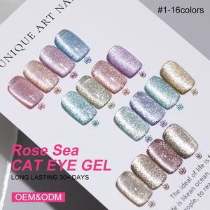 Private Label 15ml Rose mare Cat Eye Gel campione gratuito Gel smalto per unghie magnetico - Product Image 1