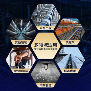 Raccords de tuyauterie en acier inoxydable Loffrey DN15-DN100 304/316L pour l'eau, le gaz et la plomberie - Product Image 1