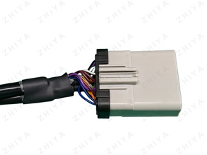 Adaptateur de faisceau de câblage étanche APEX 2.8 Series pour système de pompe à carburant, conversion de bus CAN et de câbles de signalisation - Product Image 4