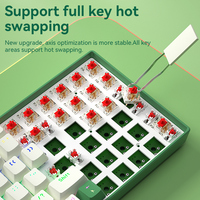 BOW Hot Swappable 100 Keys Ergonomics Computer Accessories Wired Gaming Mechanical Keyboard for Laptop Desktop