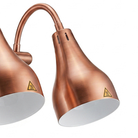 Nieuwe voedselwarmer verwarmingslamp voedsellamp buffetverwarmingslamp met koplamp voor hotel- en restaurantbenodigdheden