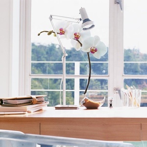 Chất Lượng Cao Giá Rẻ Giá Hoa Đào Dia Cắt 3D Tĩnh Phim Trang Trí Cửa Sổ Sticker - Product Image 6